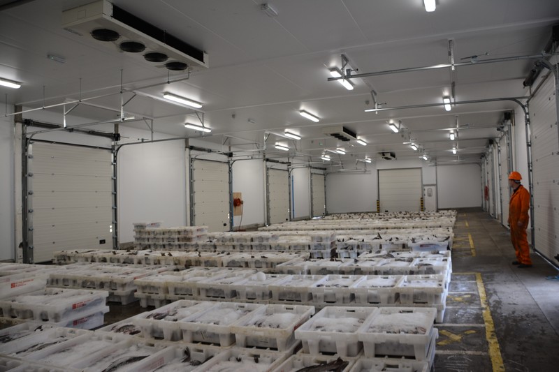 Refteco industrial refrigeration plant for meat and seafood processing facilities